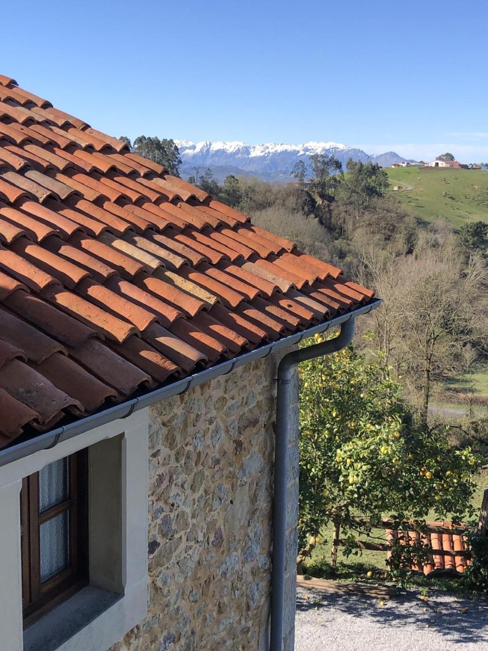 Casa Rural Trebol4Hojas San Pedro  エクステリア 写真