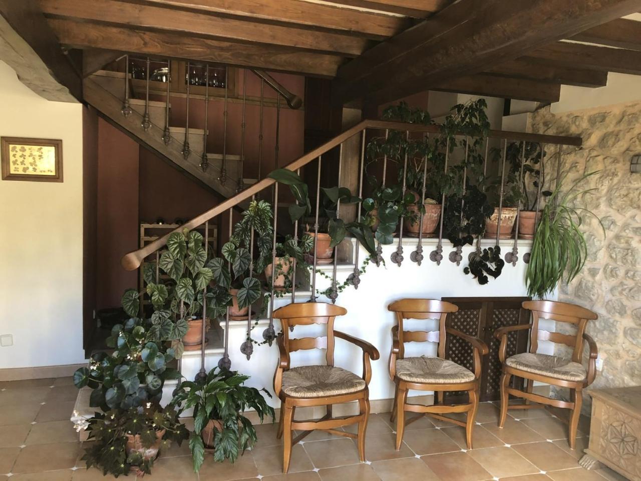 Casa Rural Trebol4Hojas San Pedro  エクステリア 写真