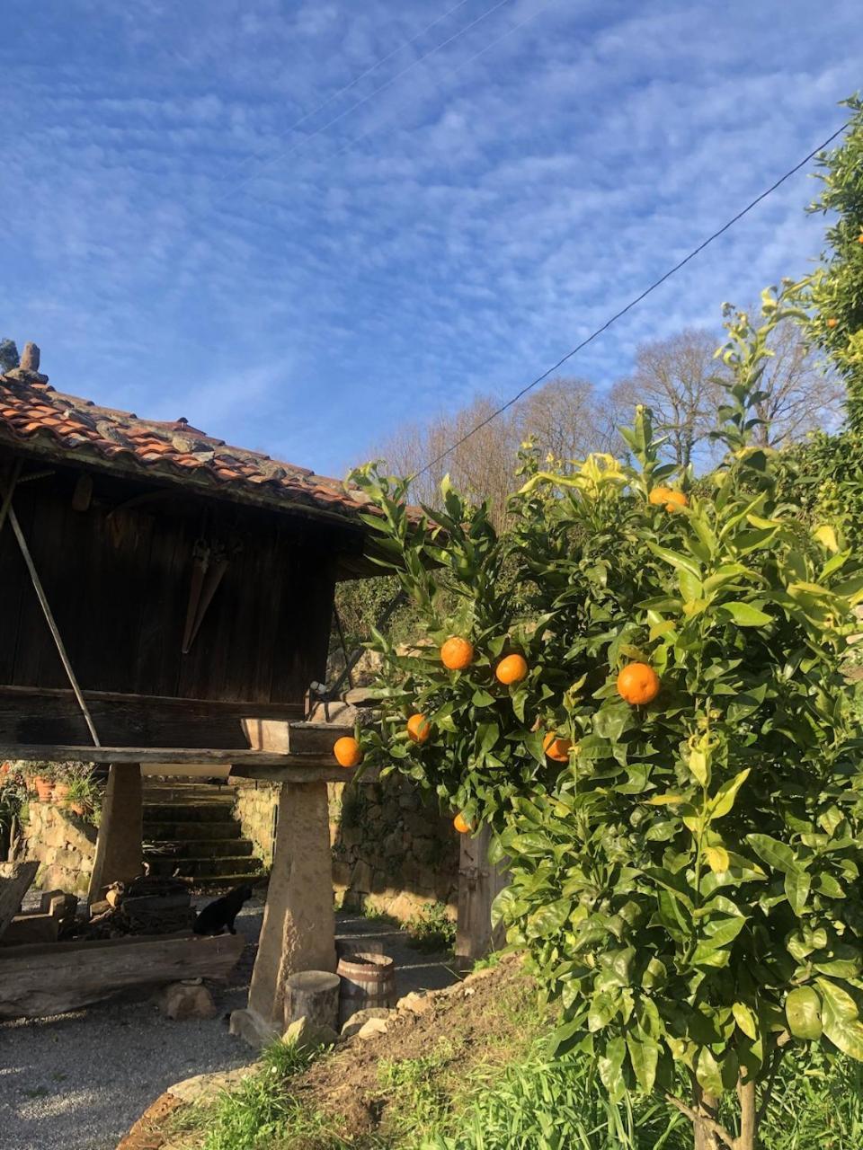 Casa Rural Trebol4Hojas San Pedro  エクステリア 写真
