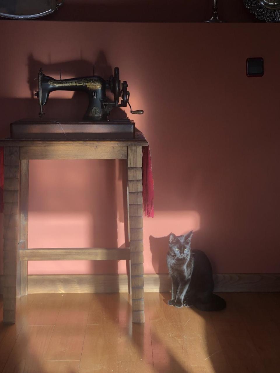 Casa Rural Trebol4Hojas San Pedro  エクステリア 写真